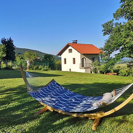 Apartma Hisa Na Ravnah With Hot Tub Pišece Eksteriør billede
